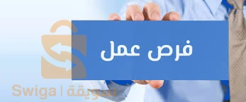 عرض مشروع أرفيا الجزائر