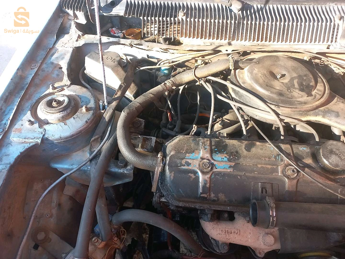 بيجو 305 1984 46 عين تموشنت