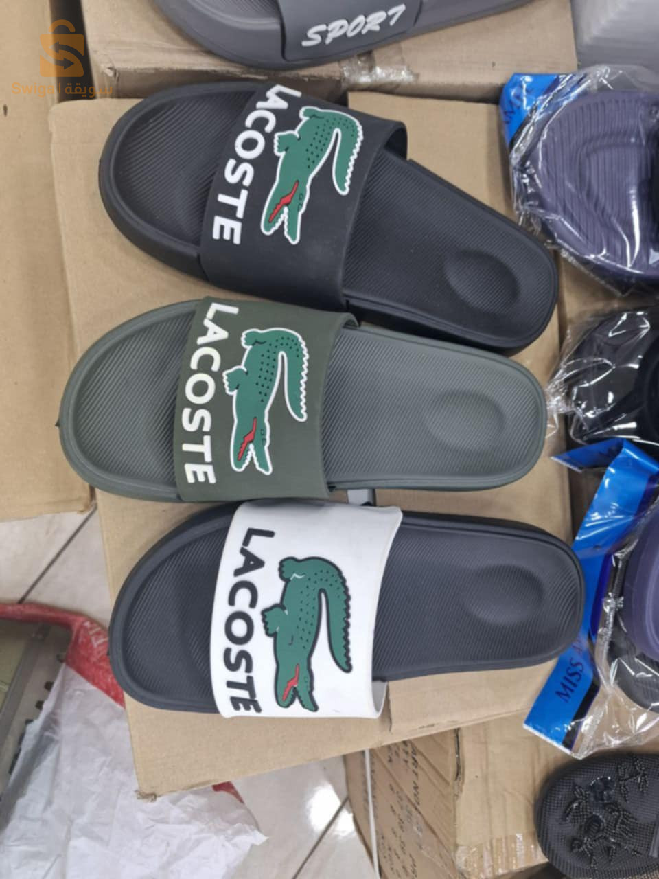 كلاكيت lacoste  جملة