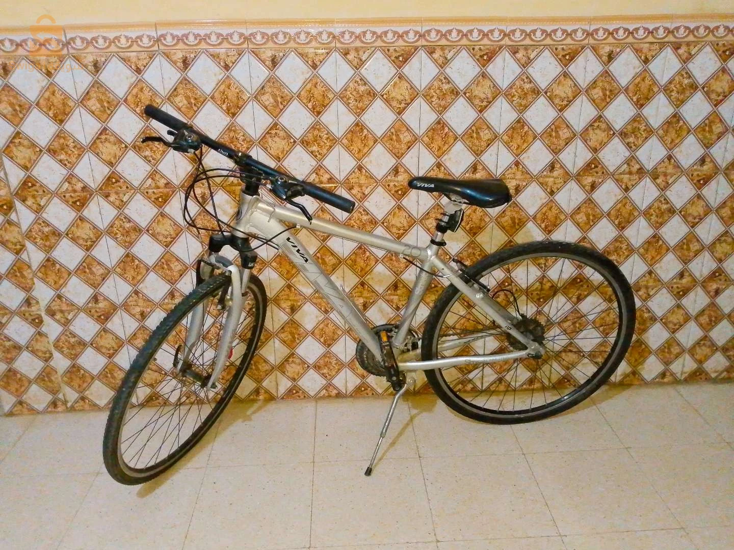 دراجة "VIVA"