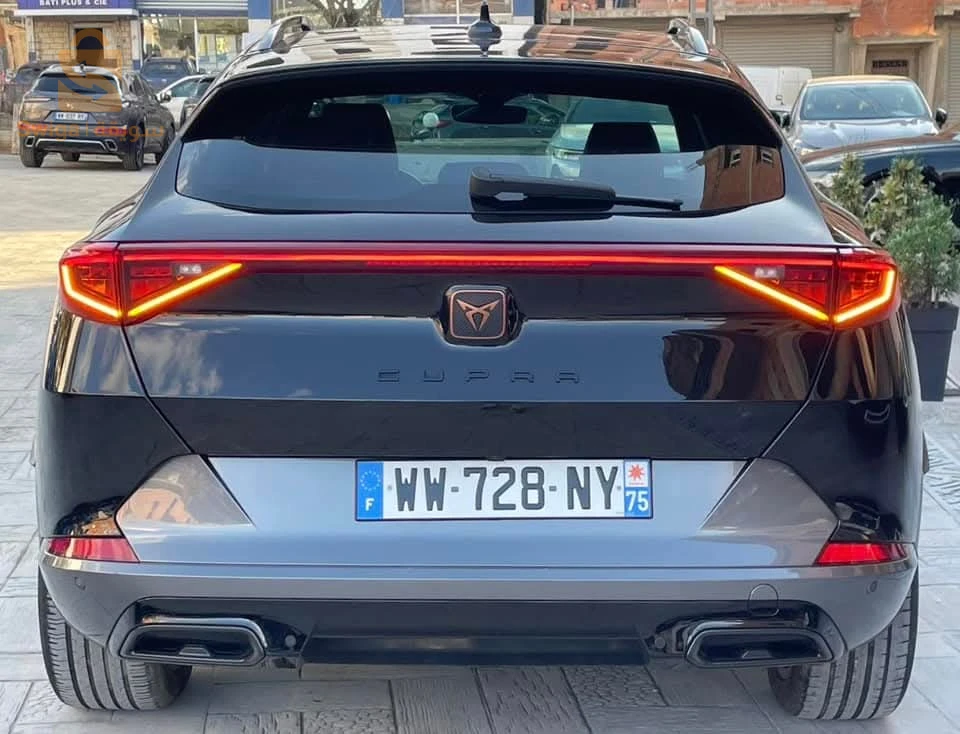 سيات Cupra 2022 15 تيزيوزو