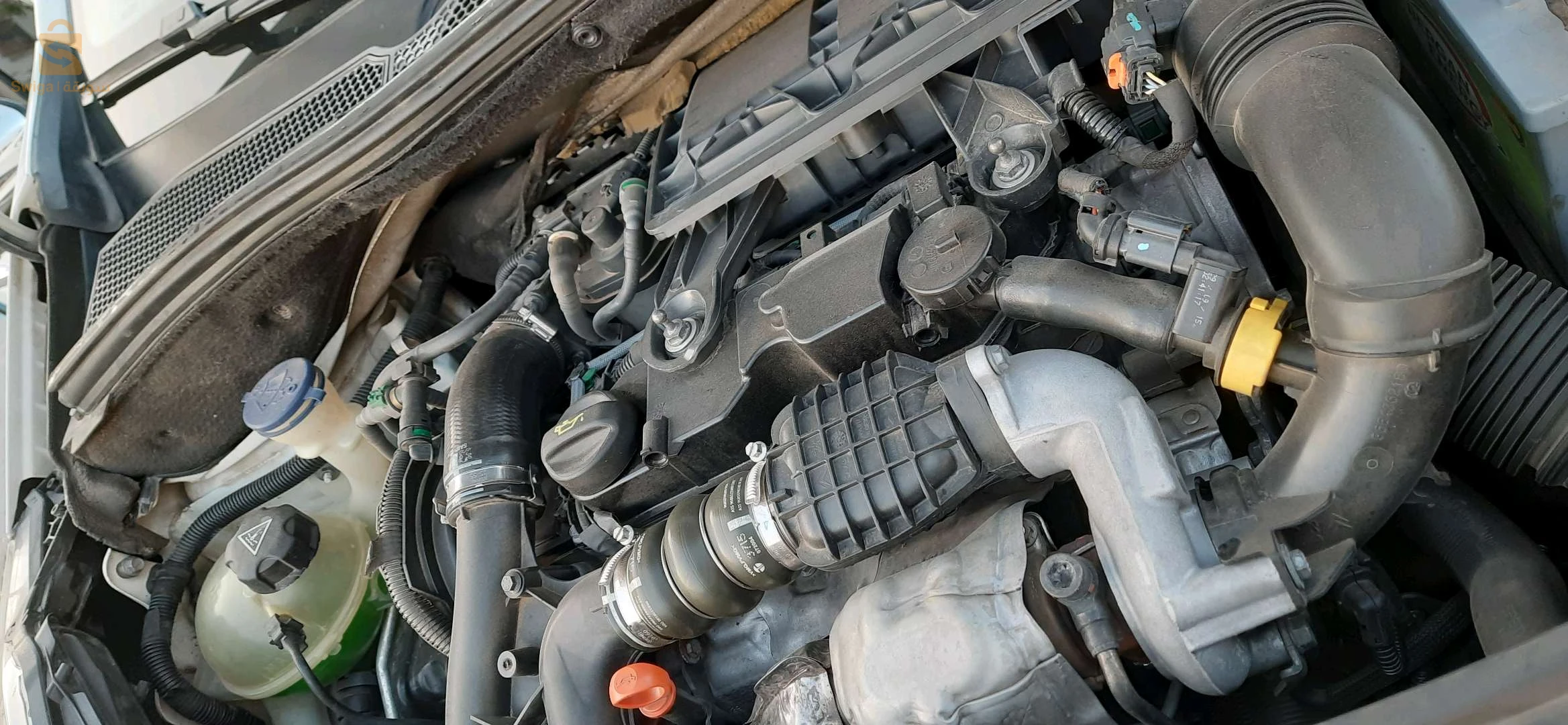 Peugeot 208 2015 13 TLEMCEN