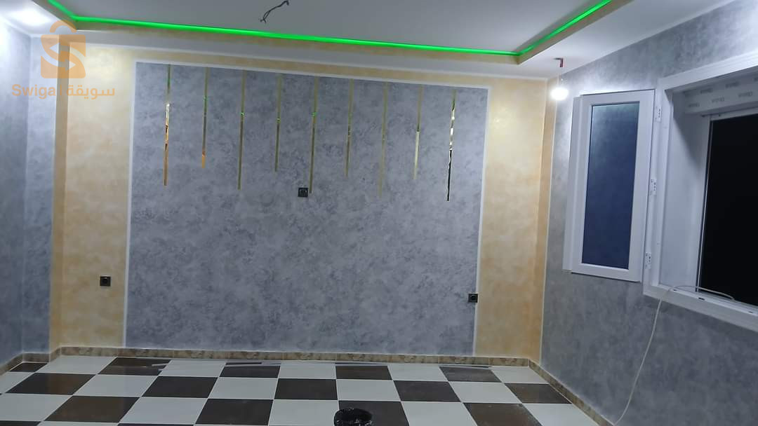 طلاء المنازل