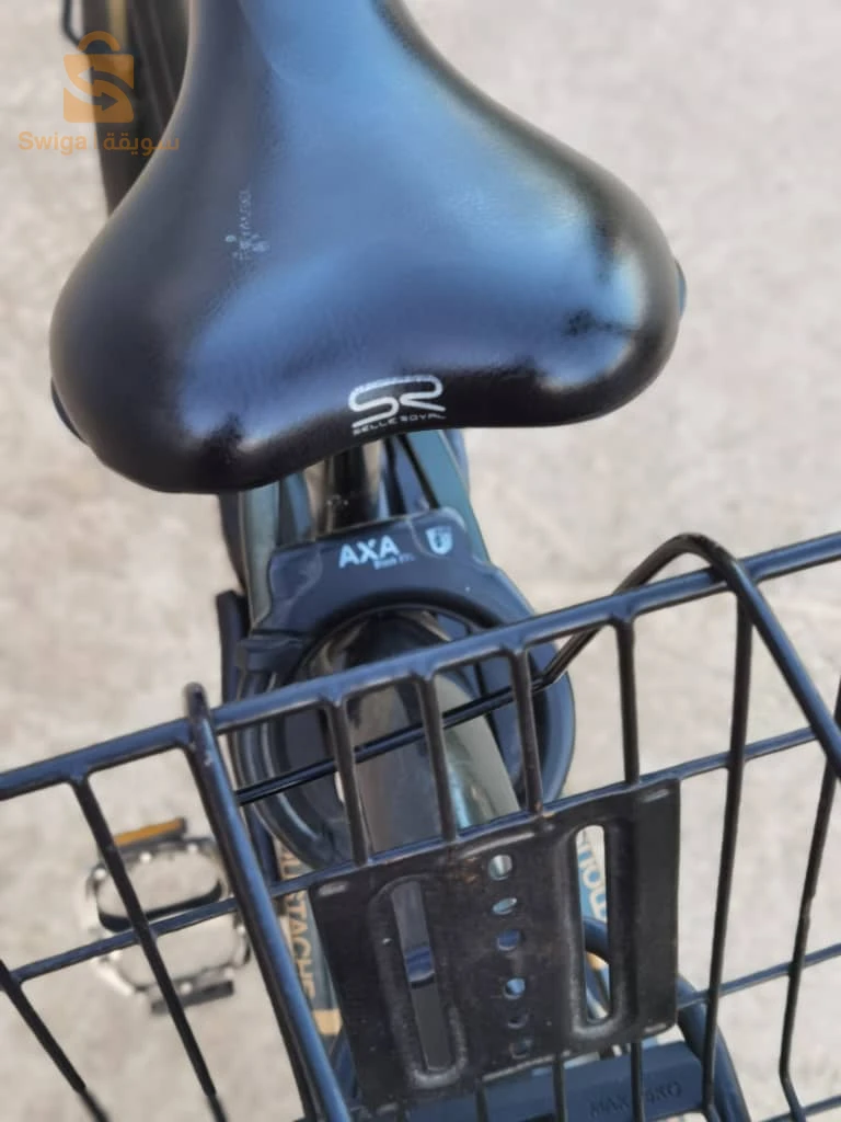 moustache samedi 28 
batterie w chargeur d origine 
afficheur Smart phone 
eta 10/10