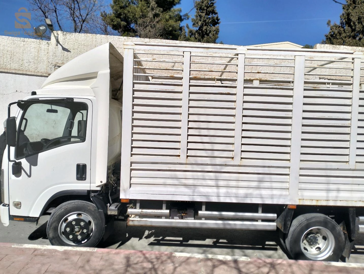 اسوزو 2019 19 سطيف