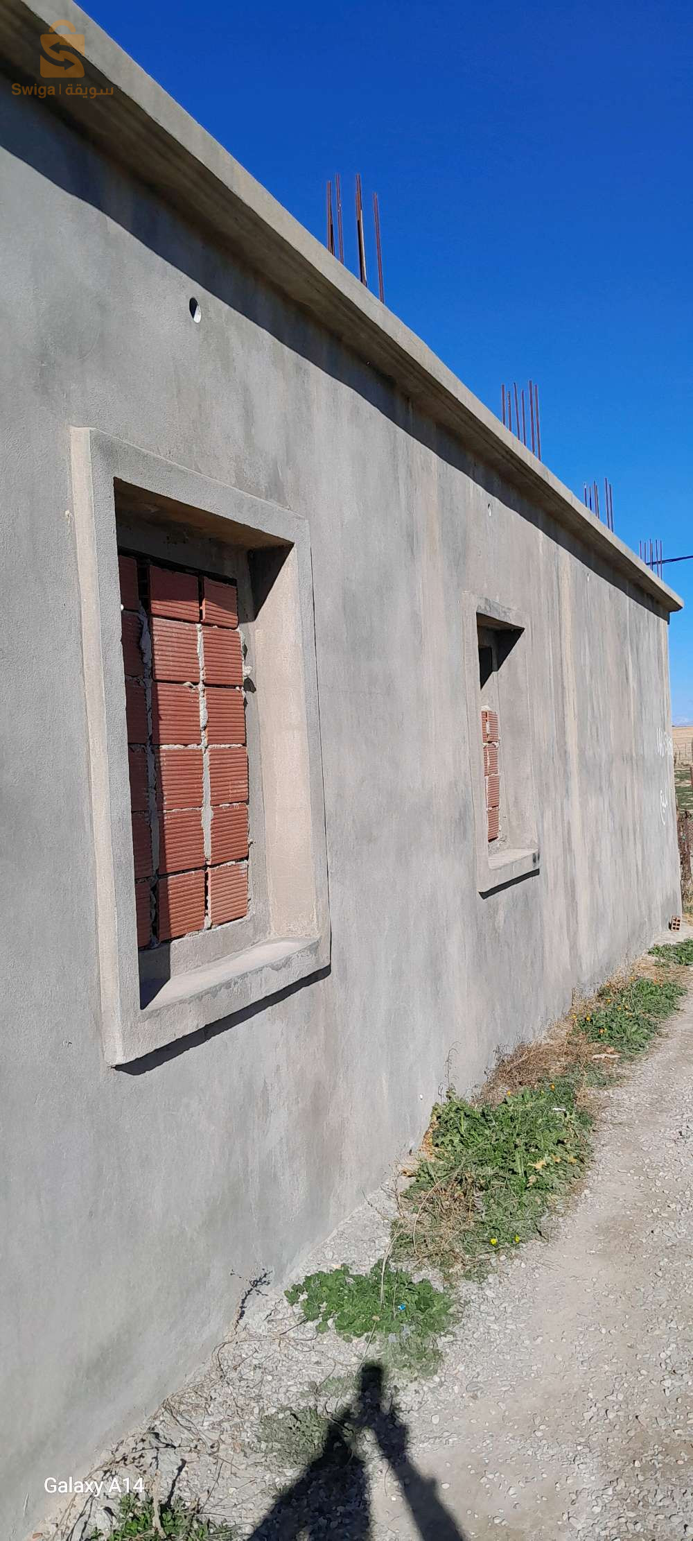 سوق اهراس مداوروش