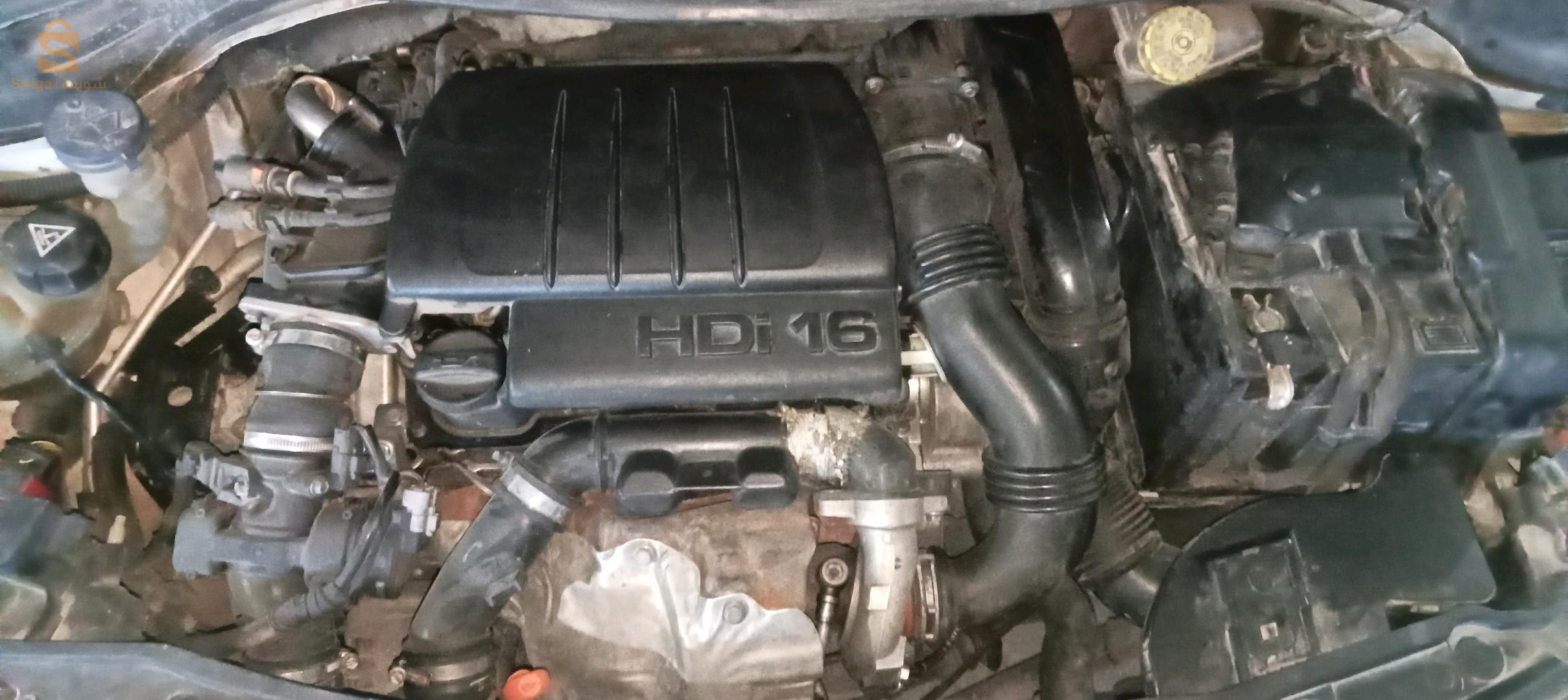 بيجو 2013 4 ام البواقي