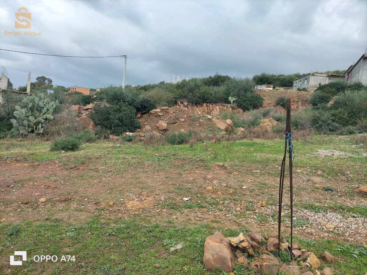 أرض للبيع بلدية بن مهيدي طريق العصفور حي الريحان لأنياب