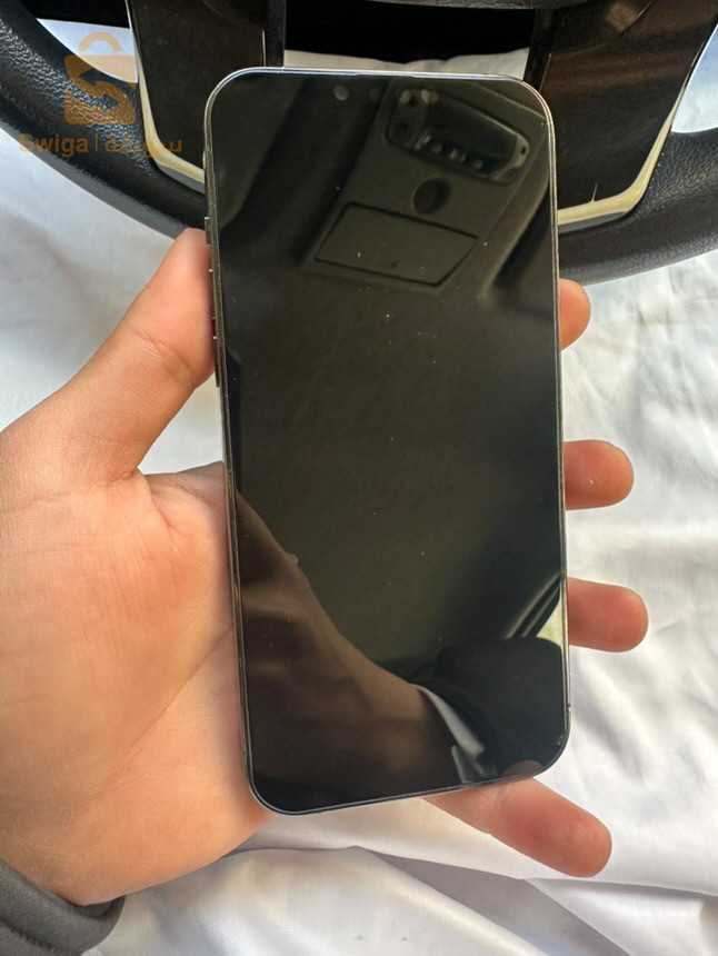 iPhone 13 pro max