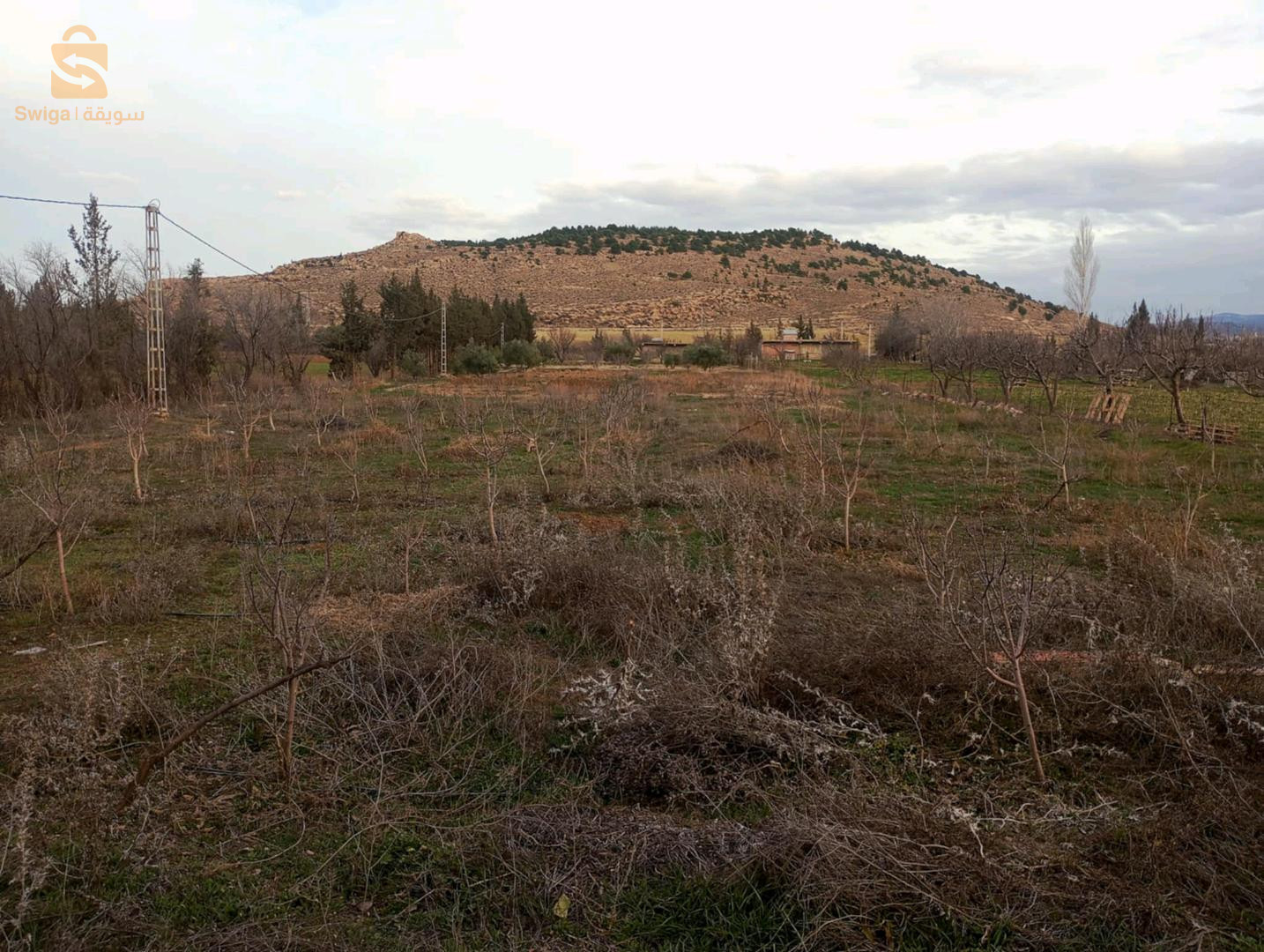 ارض للبيع ب سعر مغري
