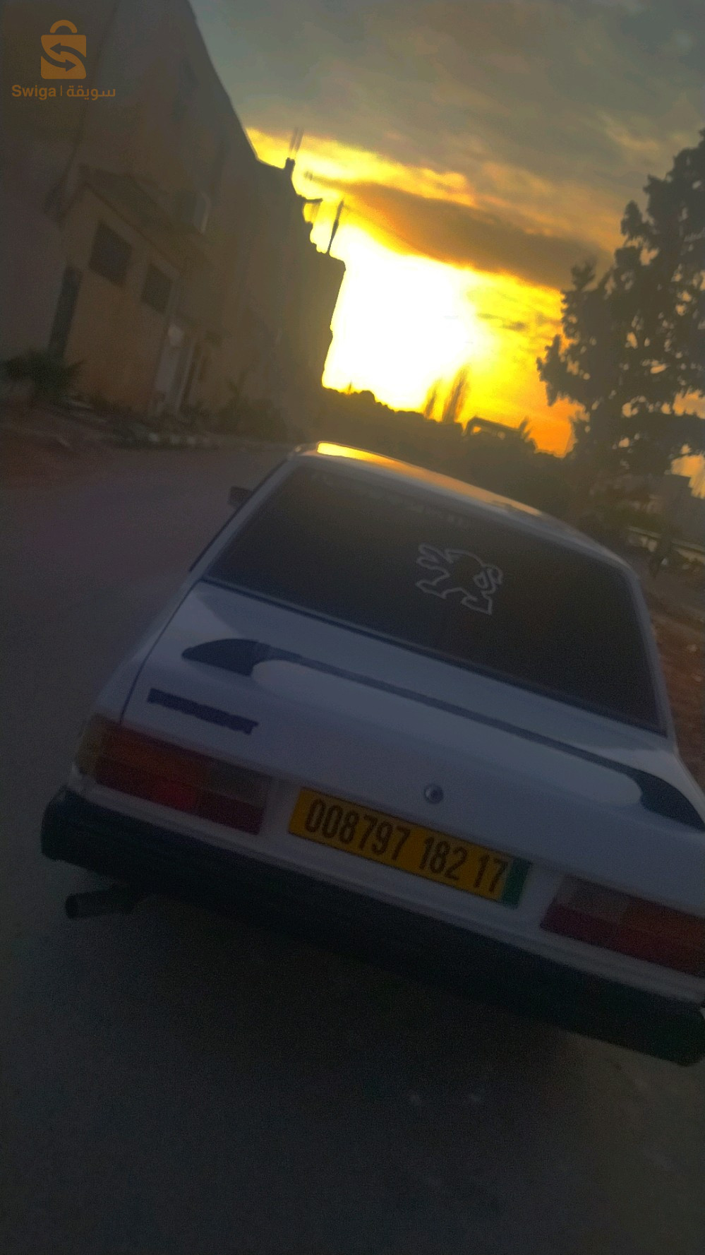 بيجو 305 1982 17 الجلفة