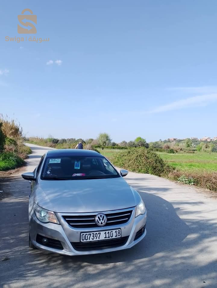 فولكس واجن Passat 2010 39 الوادي