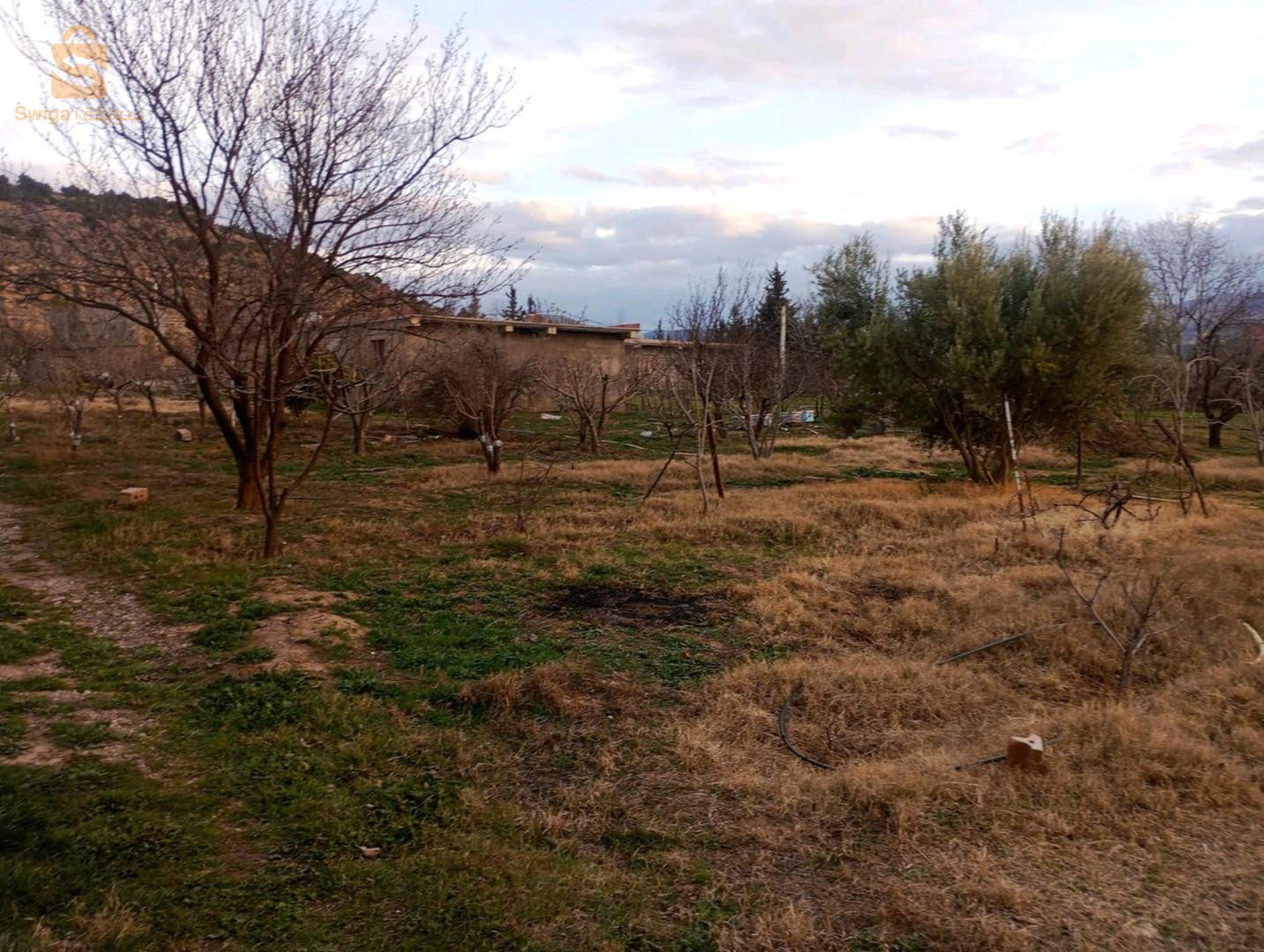 ارض للبيع ب سعر مغري