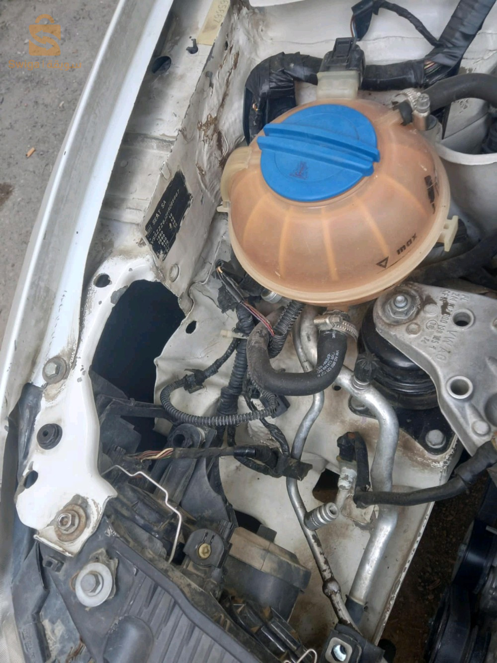 سيات Ibiza 2015 9 البليدة