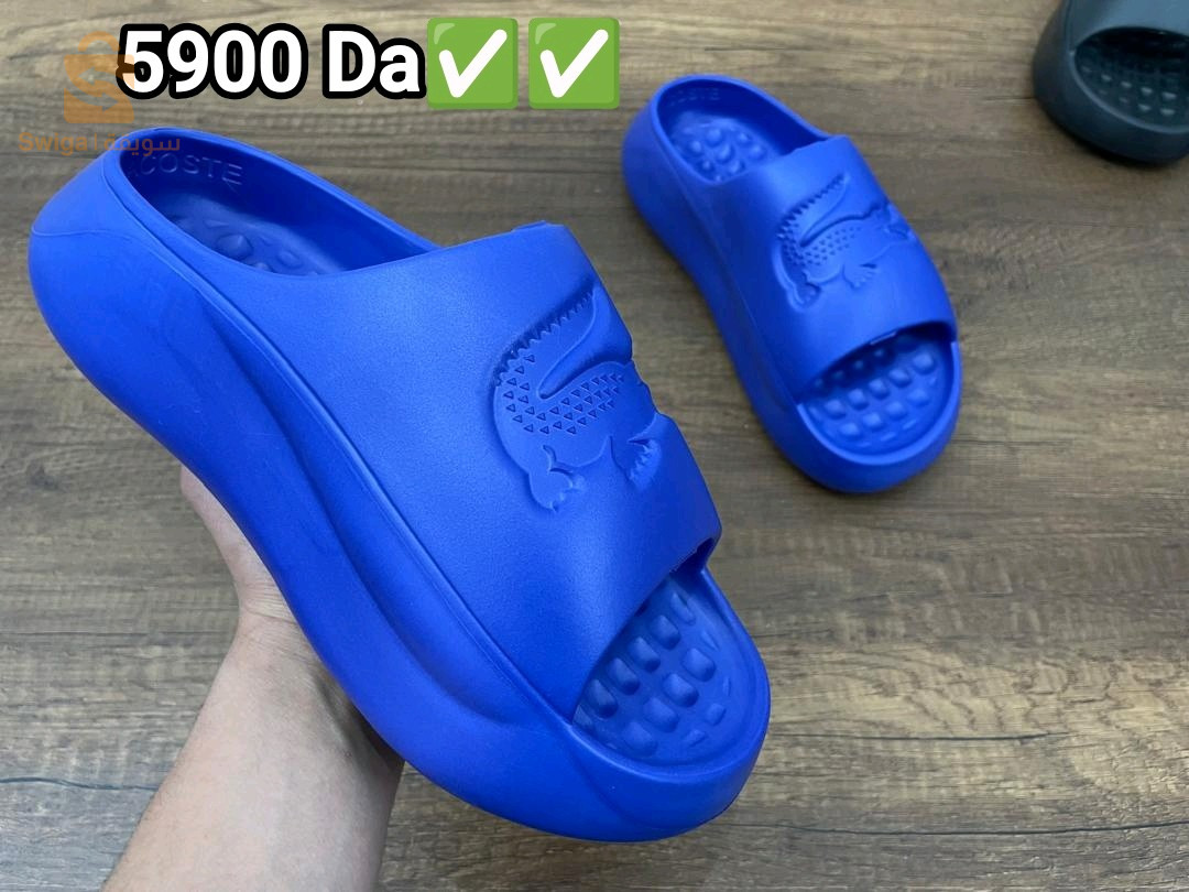 Bligha 🇨🇵🇨🇵