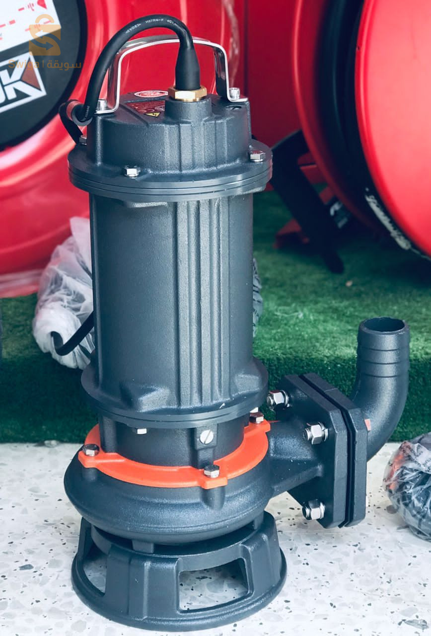 LEO POMPSE VIDE CAVE