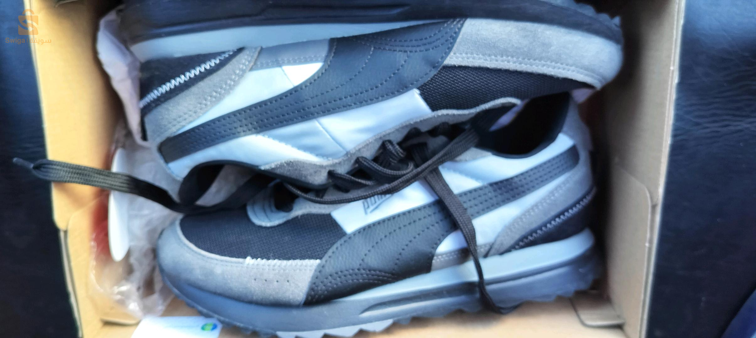 basket puma