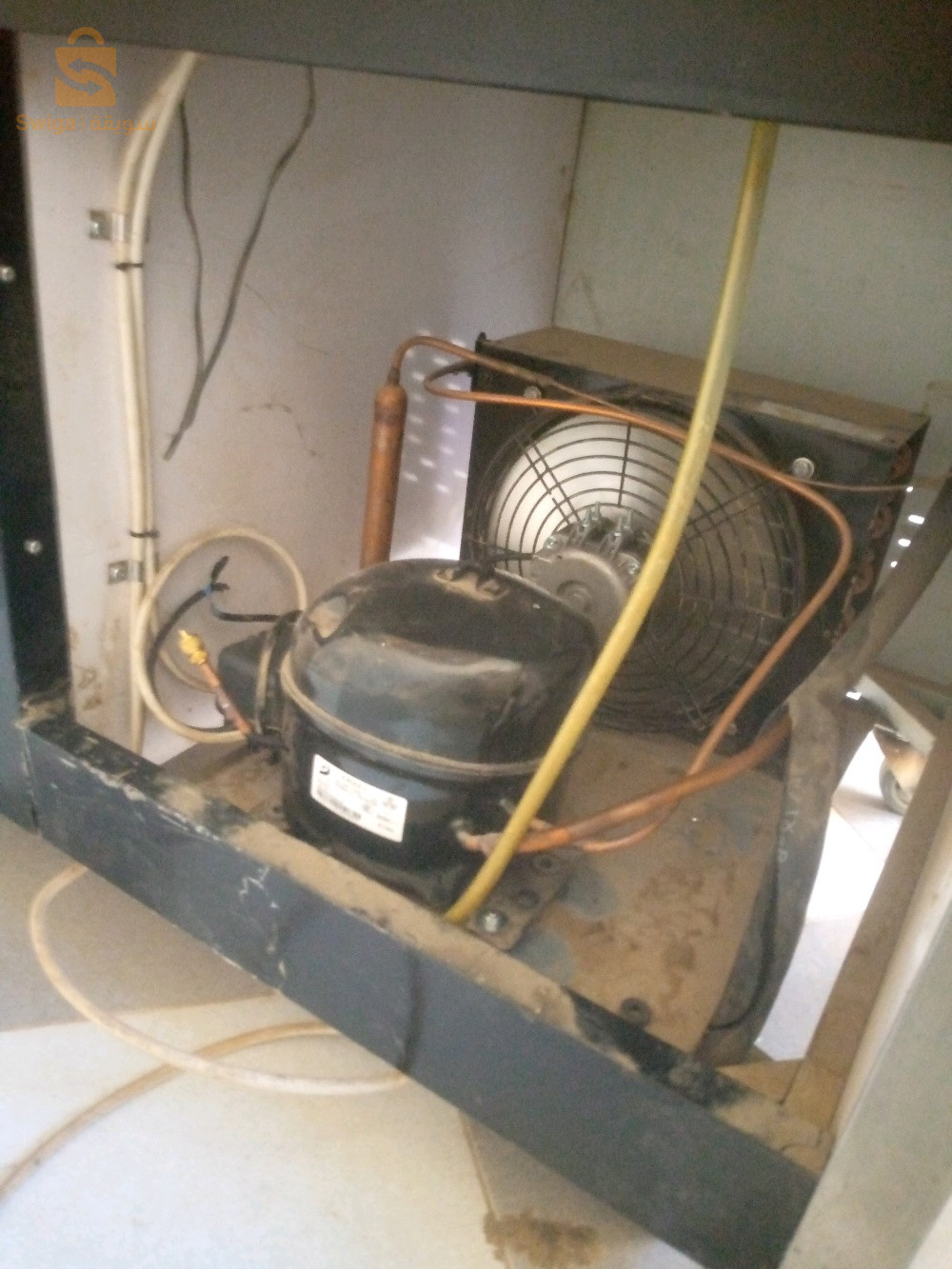 frigo présentoir