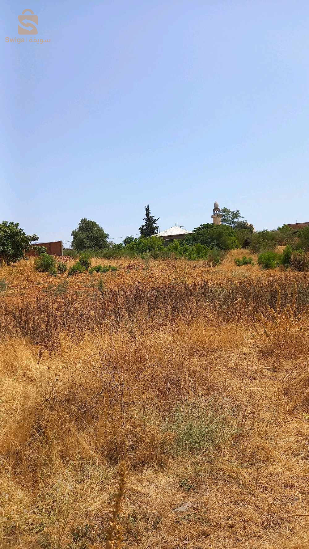 terrain