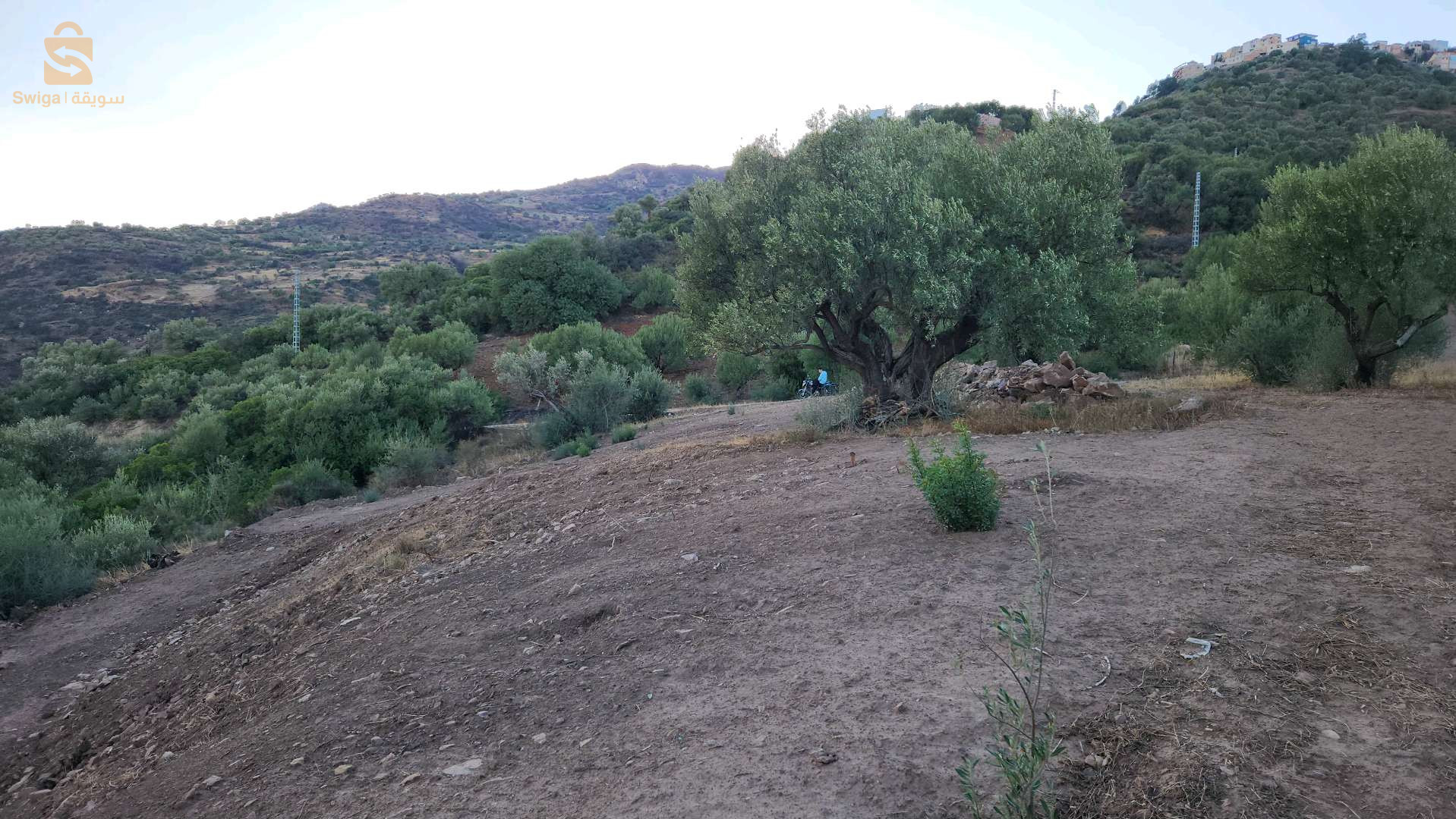 terrain à vendre