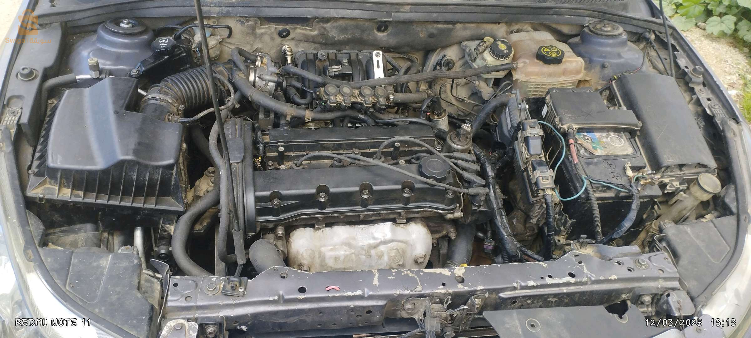 شيفروليه Cruze 2012 21 سكيكدة