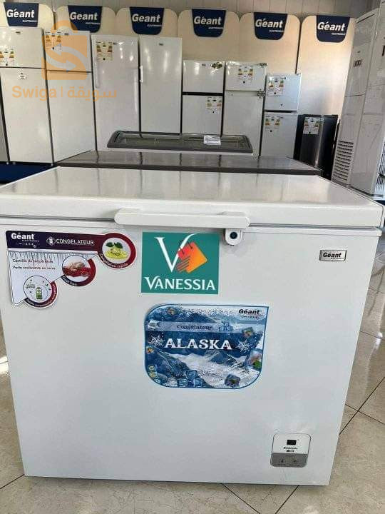 Congélateur marque géant 260L couleur blanc