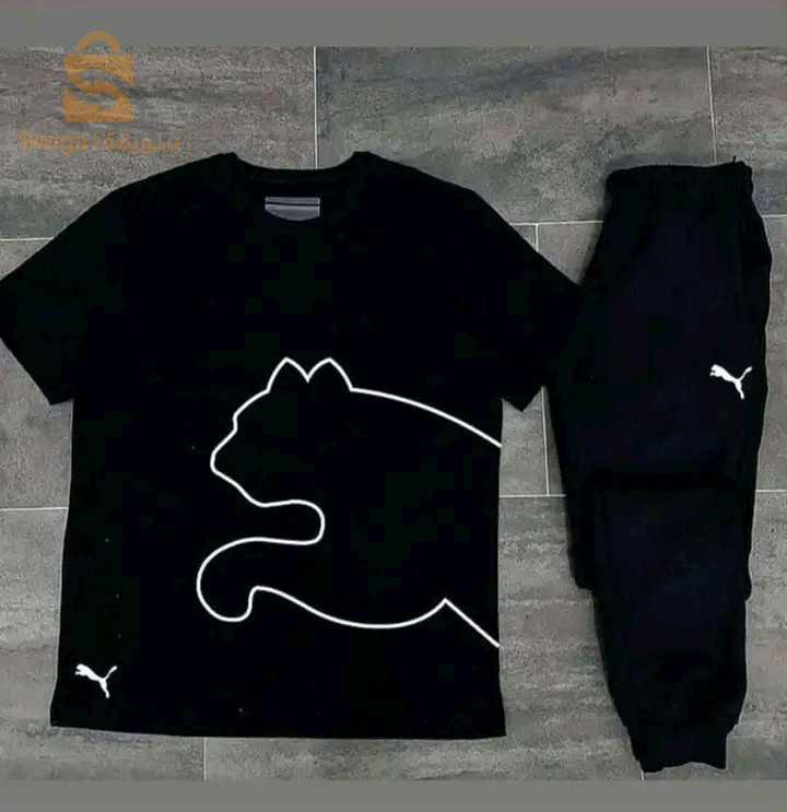 Ensemble puma