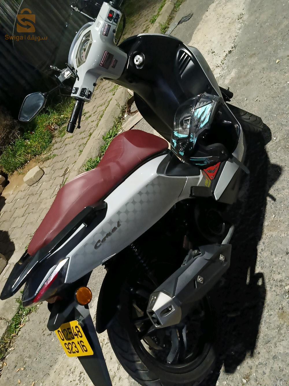 vsm coral2023