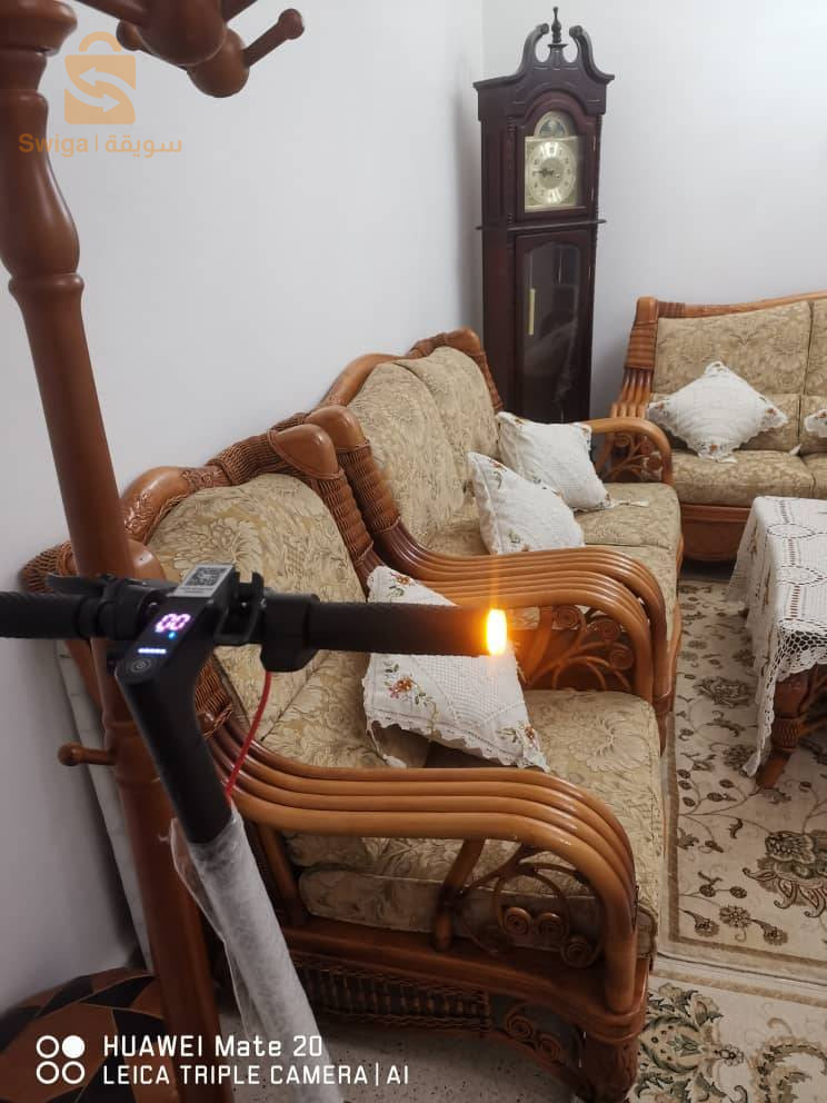 تروتينات.  الكتريك