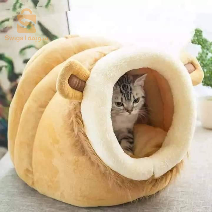 بيت حيوان