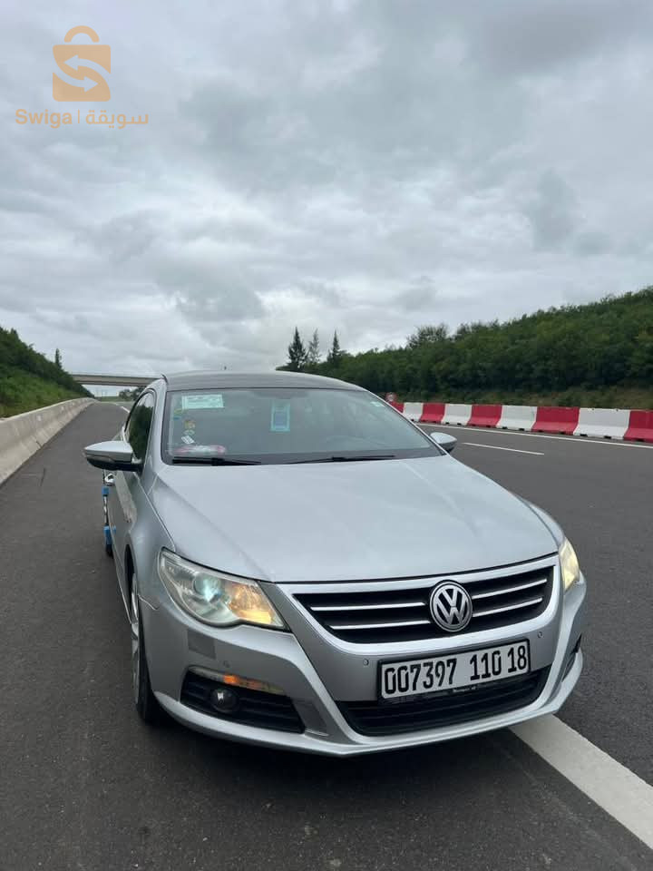 فولكس واجن Passat 2010 39 الوادي