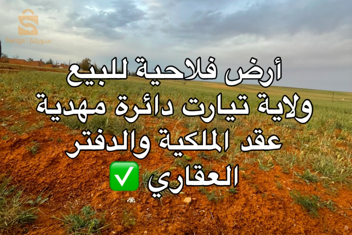 أرض فلاحية للبيع ولاية تيارت