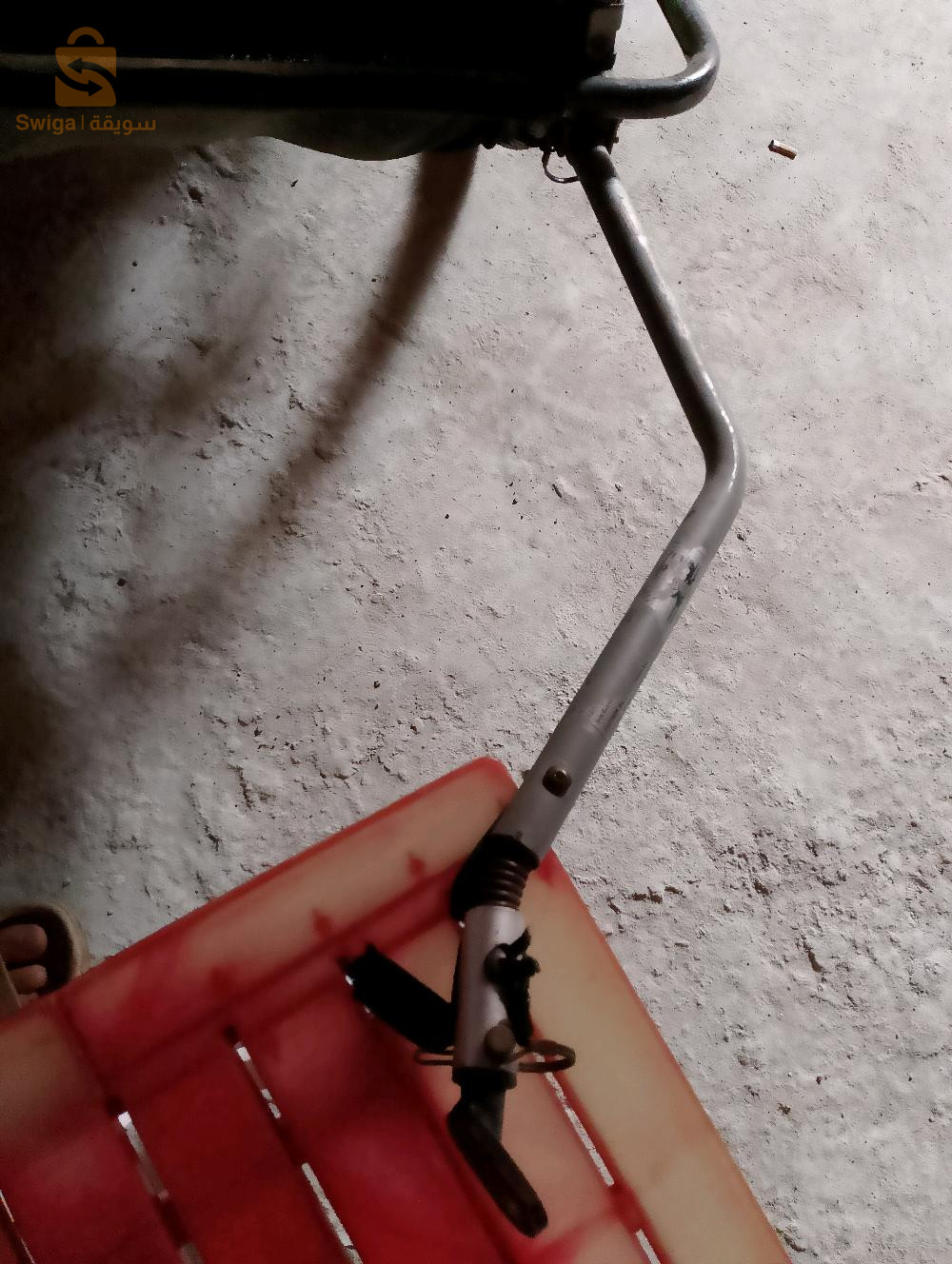 فيلو بالرومورك نقية