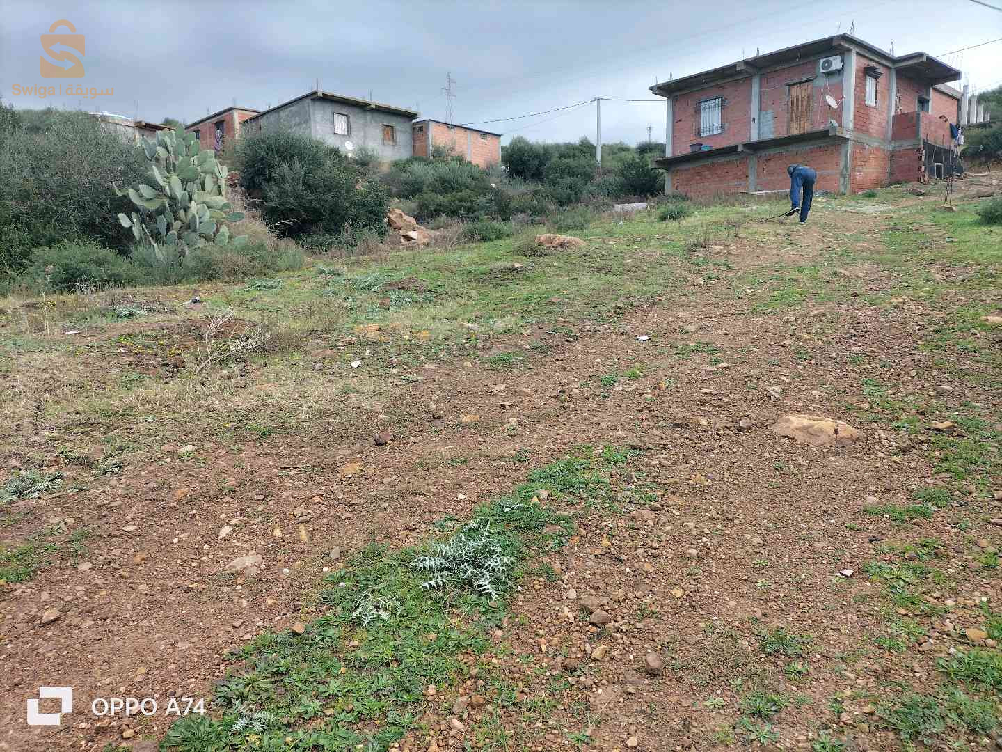 أرض للبيع بلدية بن مهيدي طريق العصفور حي الريحان لأنياب