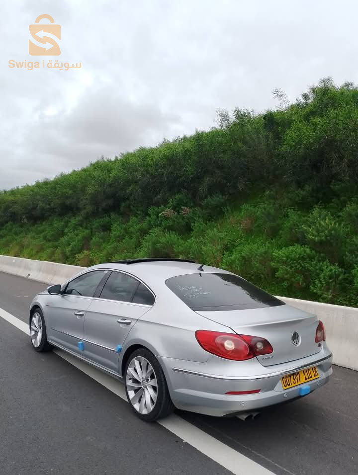 فولكس واجن Passat 2010 39 الوادي