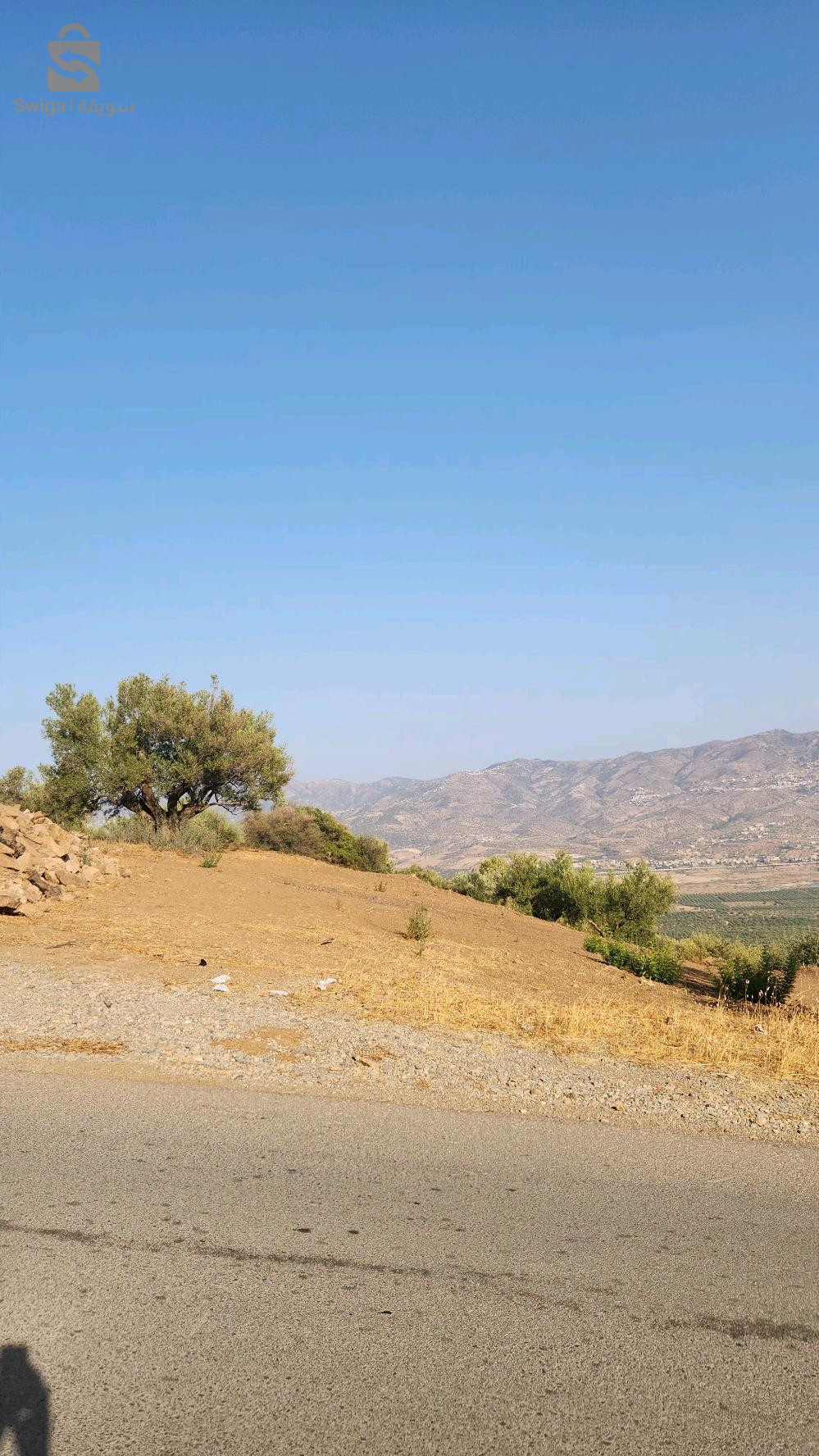 terrain à vendre Béjaïa Akbou