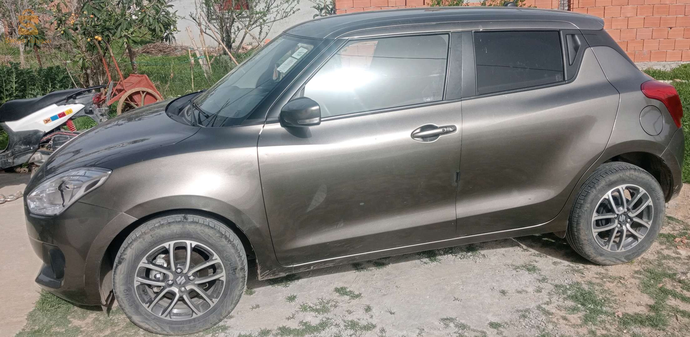 سوزوكي Swift 2022 36 الطارف