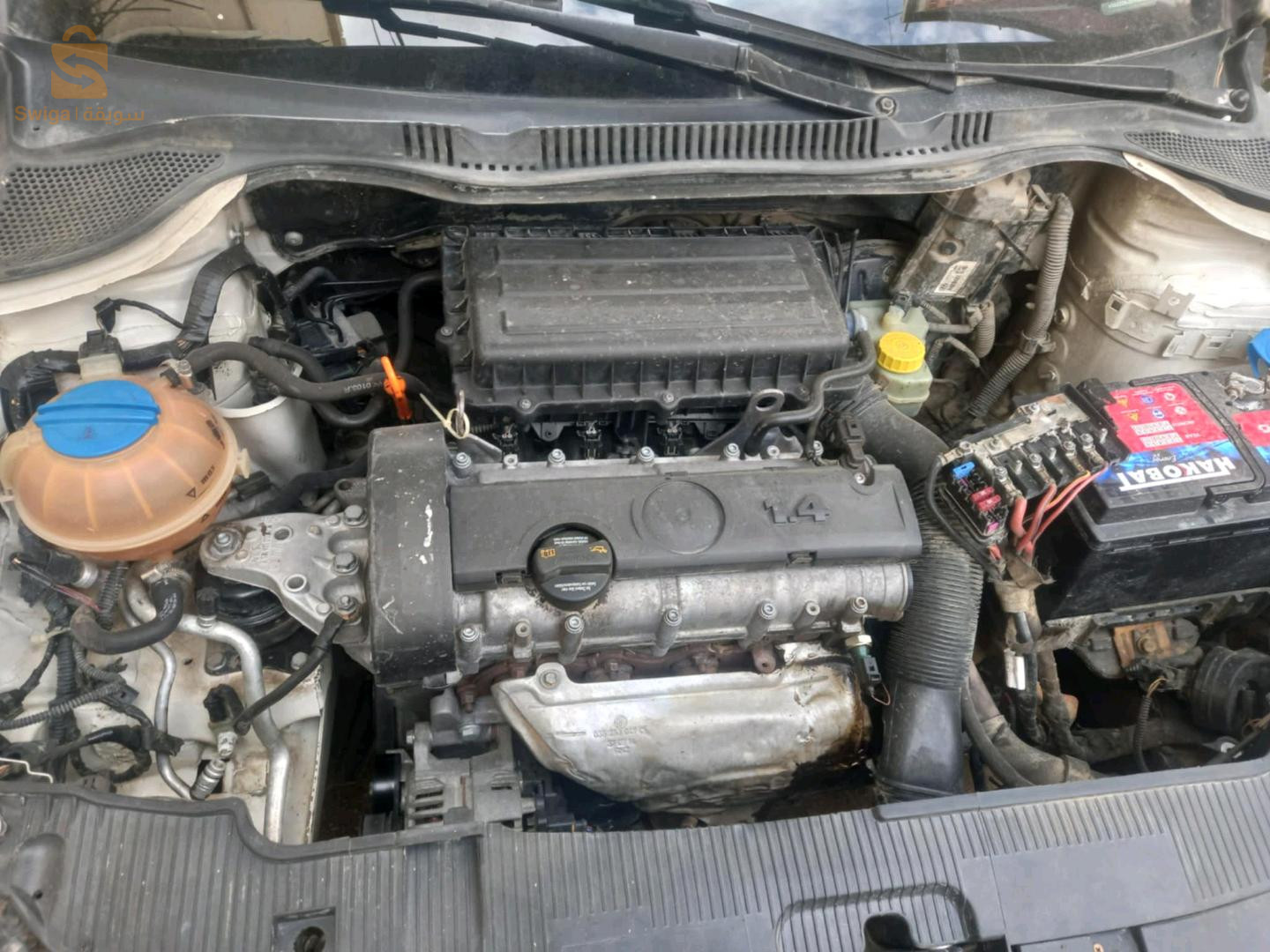 سيات Ibiza 2015 9 البليدة