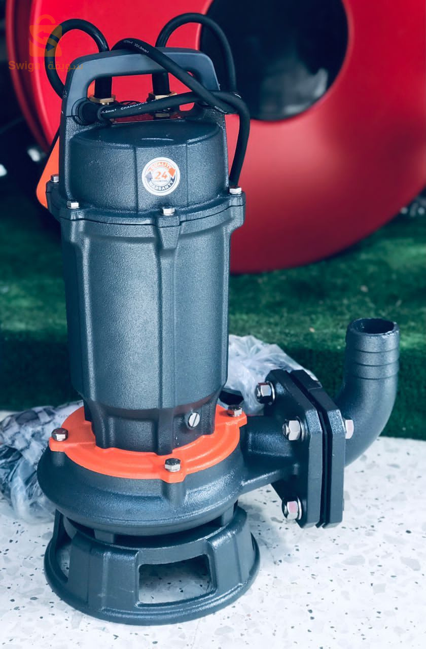 LEO POMPSE VIDE CAVE