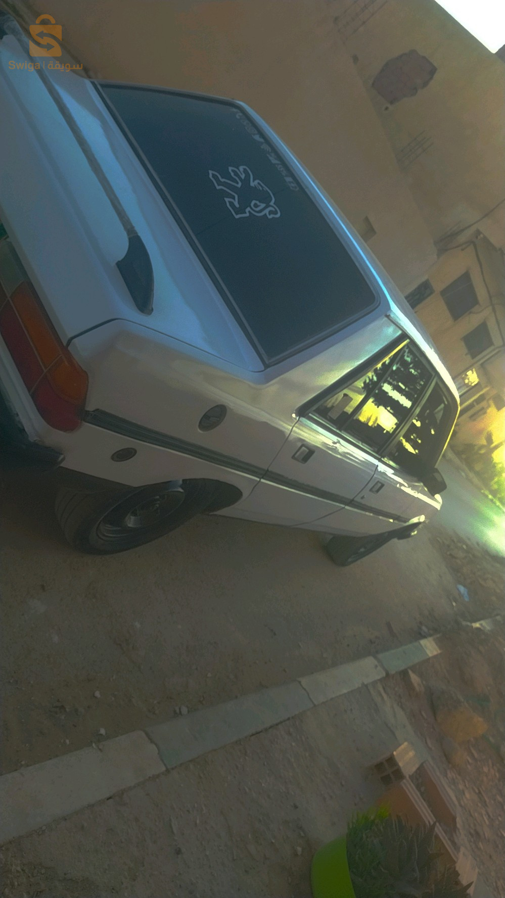 بيجو 305 1982 17 الجلفة