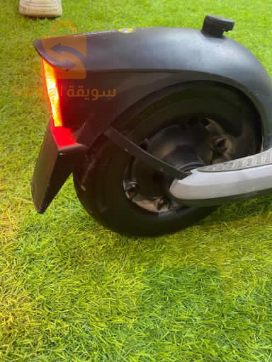 تروتينات مشاء الله