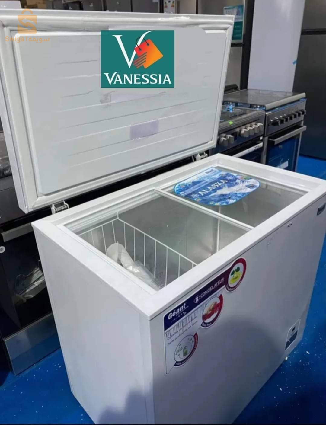 Congélateur marque géant 260L