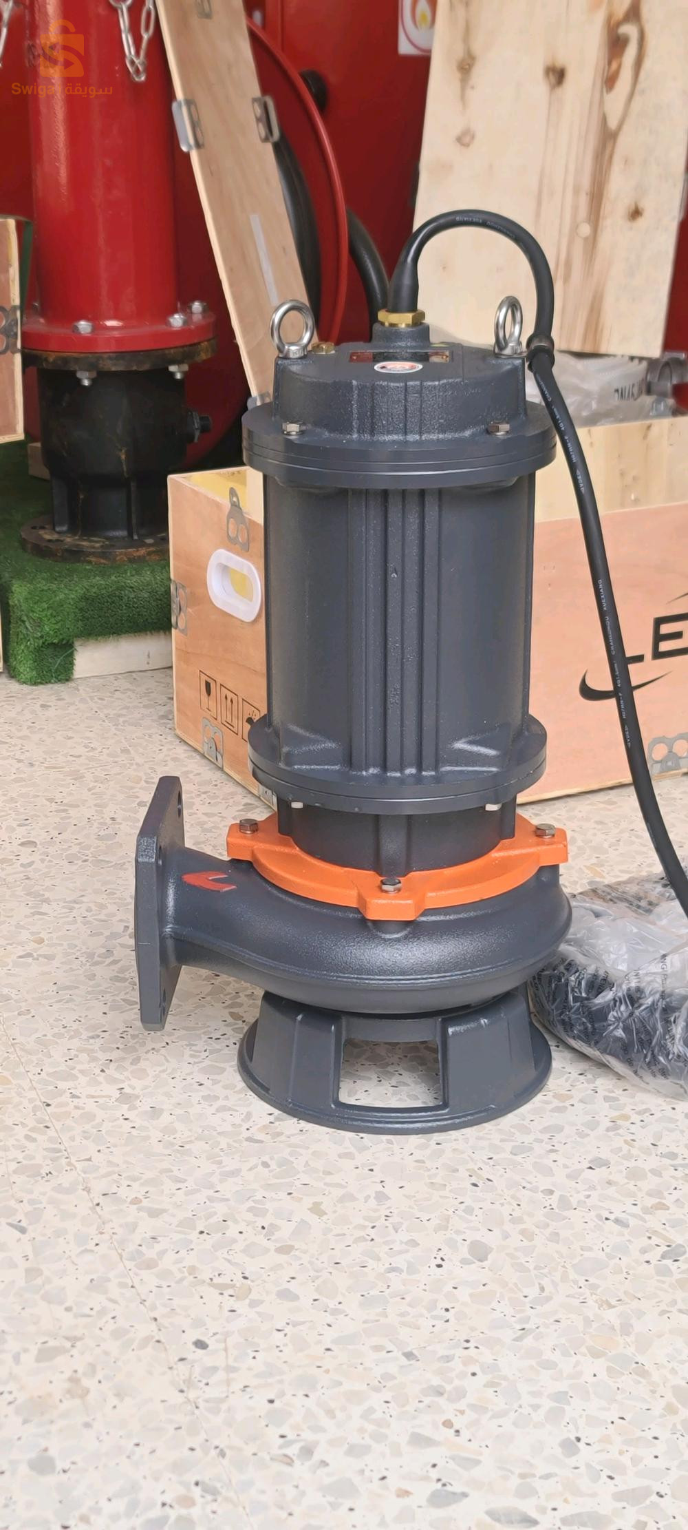 LEO POMPSE VIDE CAVE