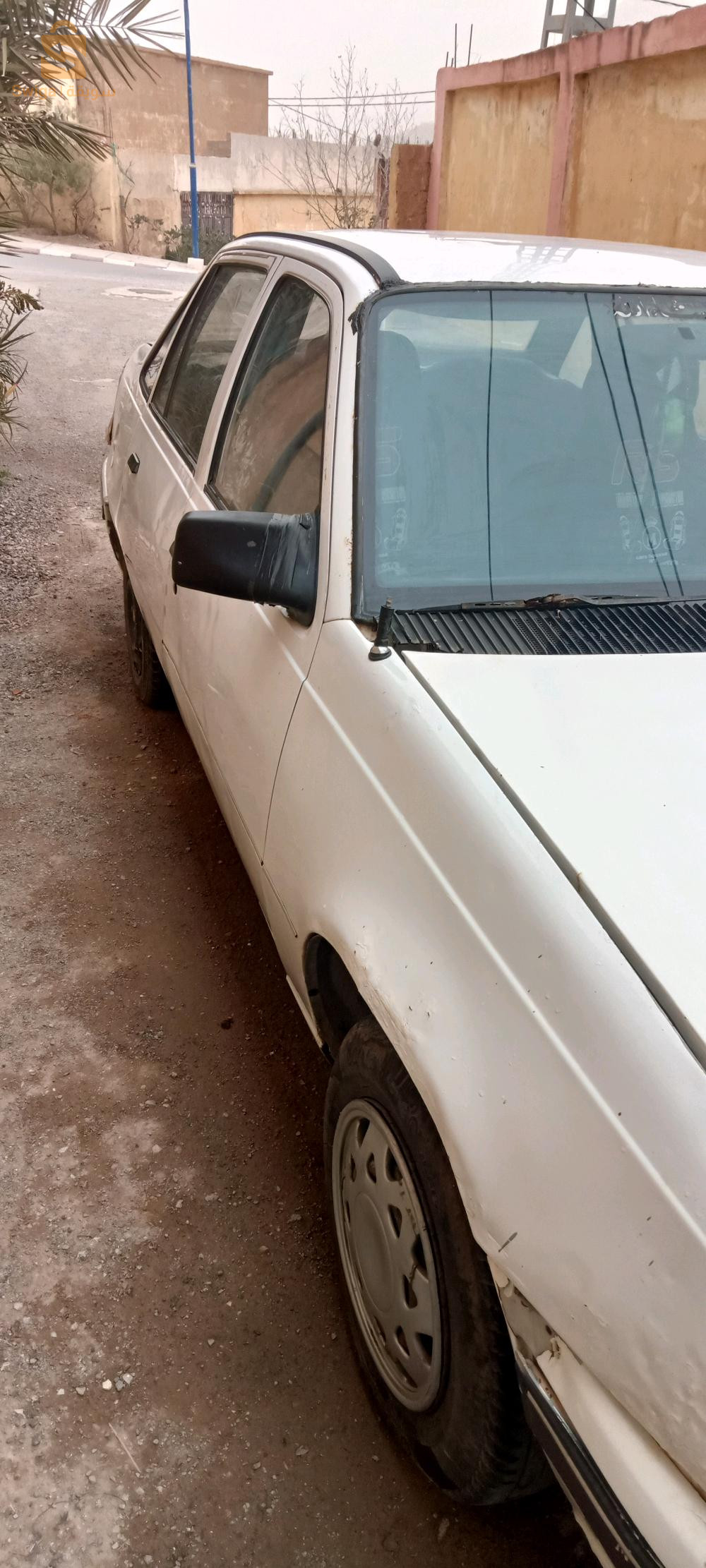 دايو 1994 22 سيدي بلعباس