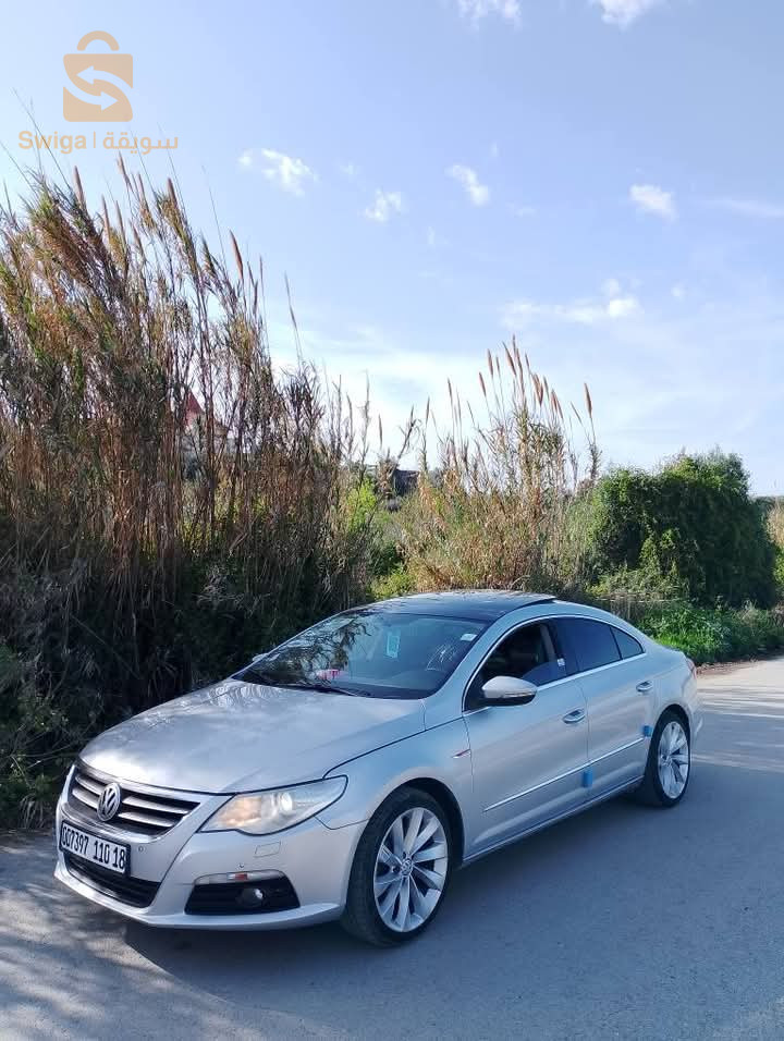 فولكس واجن Passat 2010 39 الوادي