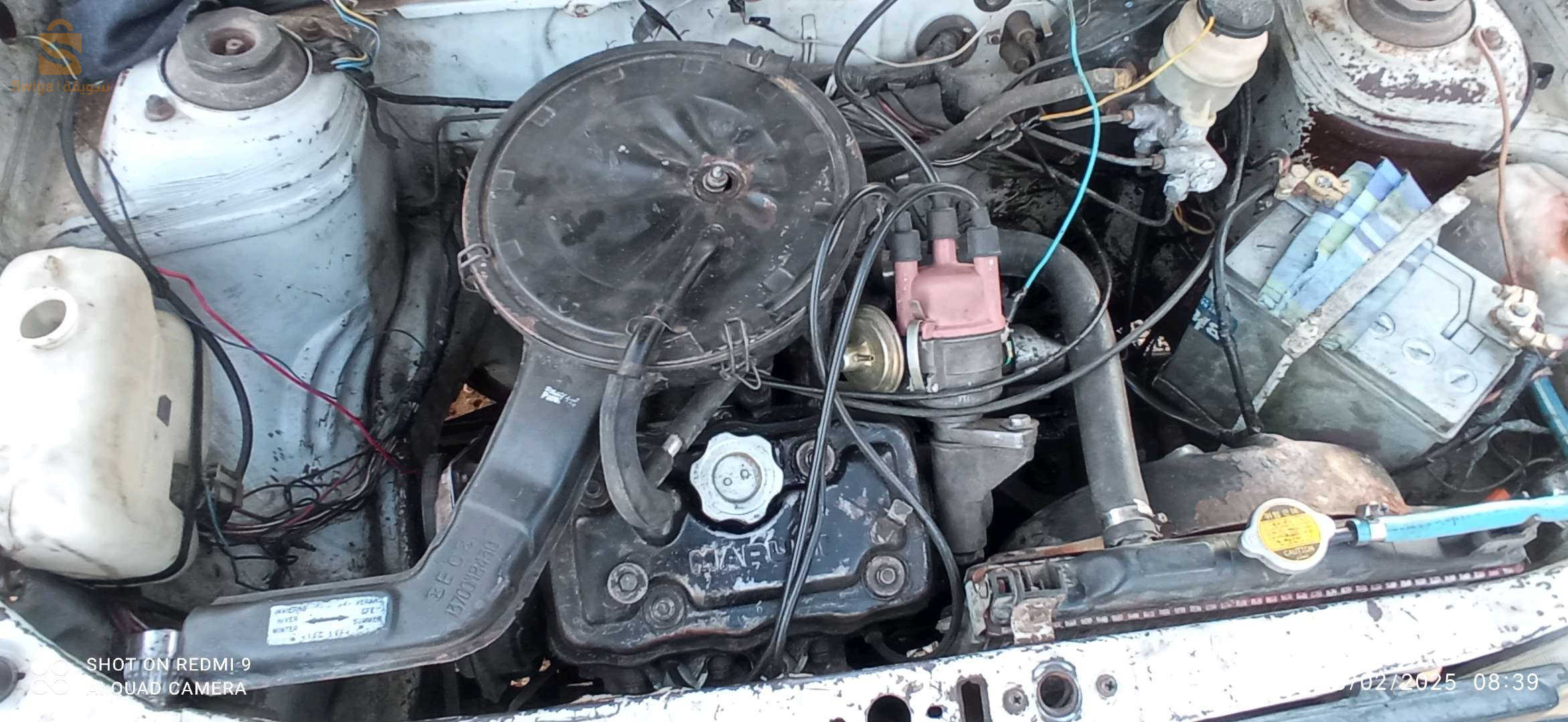 سوزوكي Maruti 800 2008 31 وهران