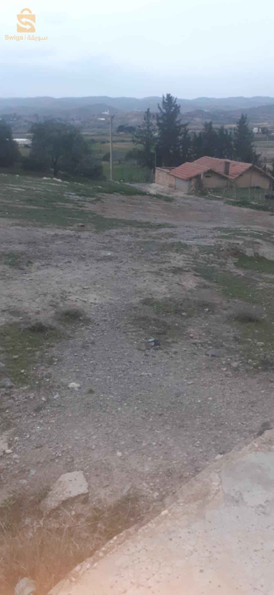 بيع ارض بستنة