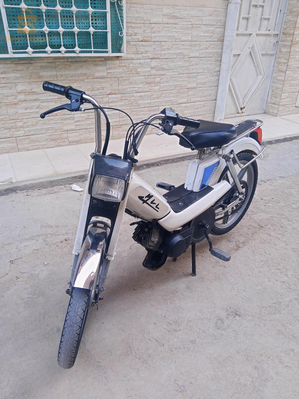 موطو مشاء الله فيها موتار شباب بزاف