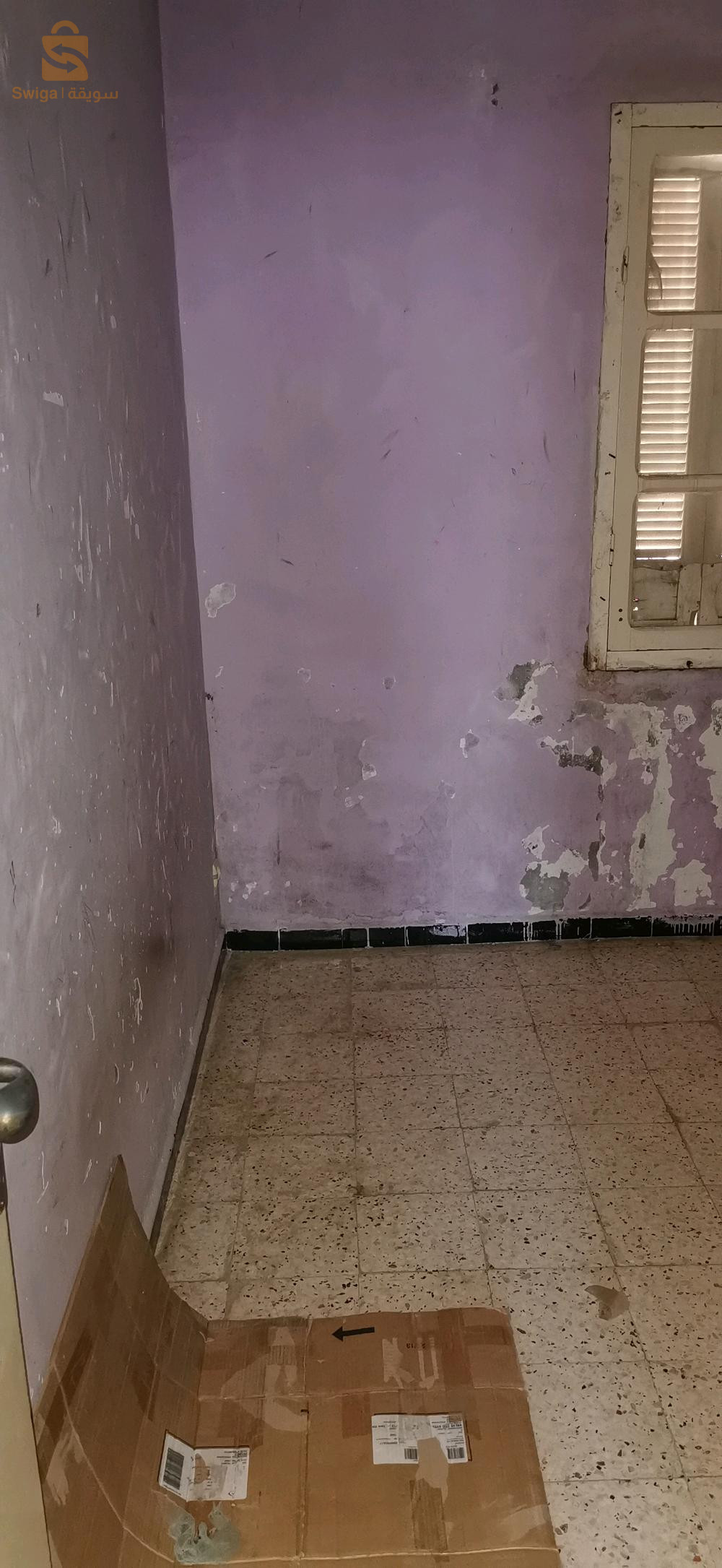apporter F3 à vendre