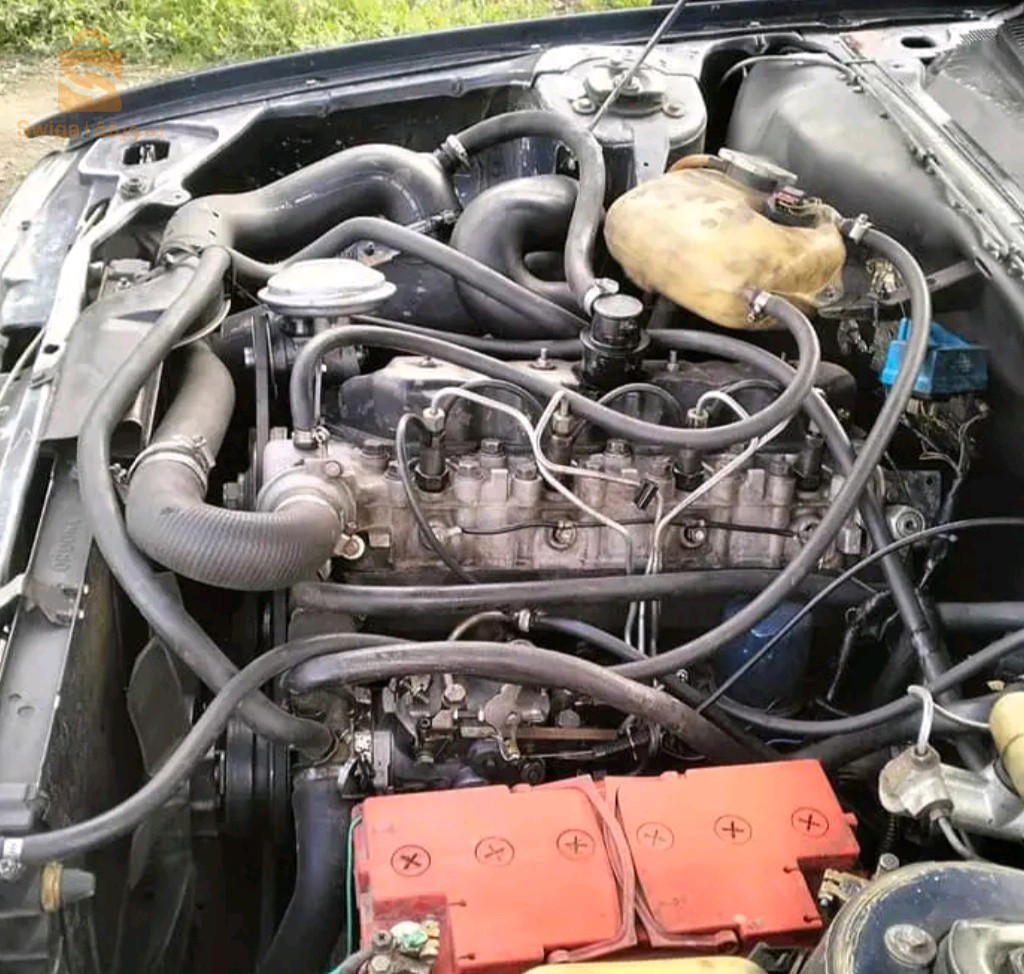 بيجو 505 1992 4 ام البواقي